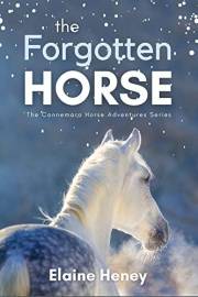 The Forgotten Horse - Book 1 in the Connemara Horse Adventure Series for Kids. The perfect gift for children age 8-12. (Conne